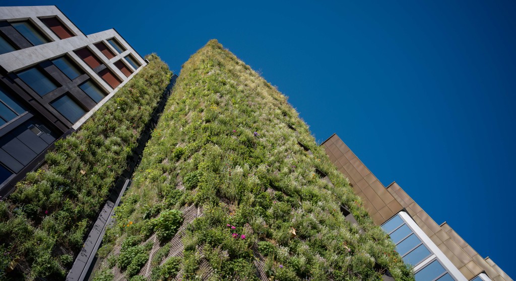 Stenersgata 1 er et foregangsprosjekt innen bærekraft, energieffektivisering og naturmangfold. Prosjektet vant BREEAM-prisen 2025 i kategorien rehabilitering og er sertifisert med 