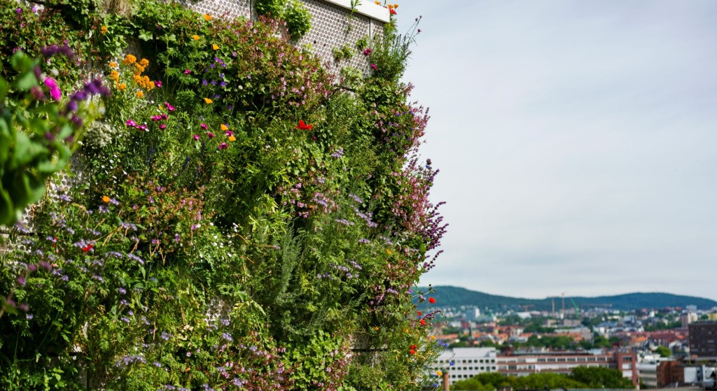 Fra takterrassen i Stenersgata 1 er det god utsikt over sentrum
