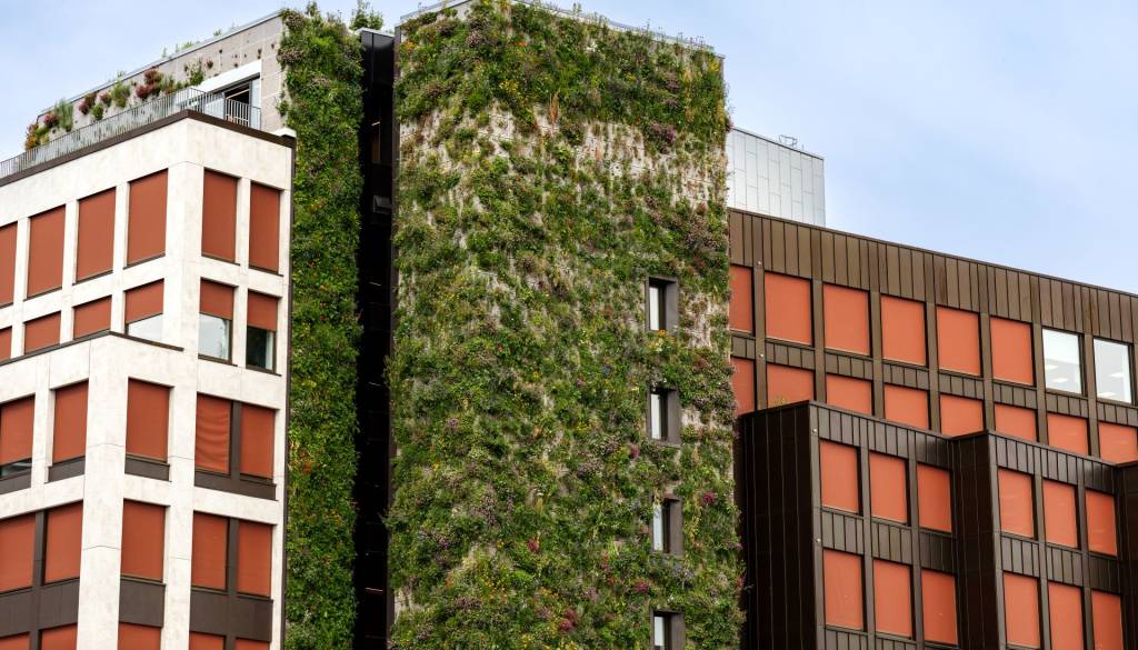 På Stenersgata 1 ruver en 28 meter høy plantevegg