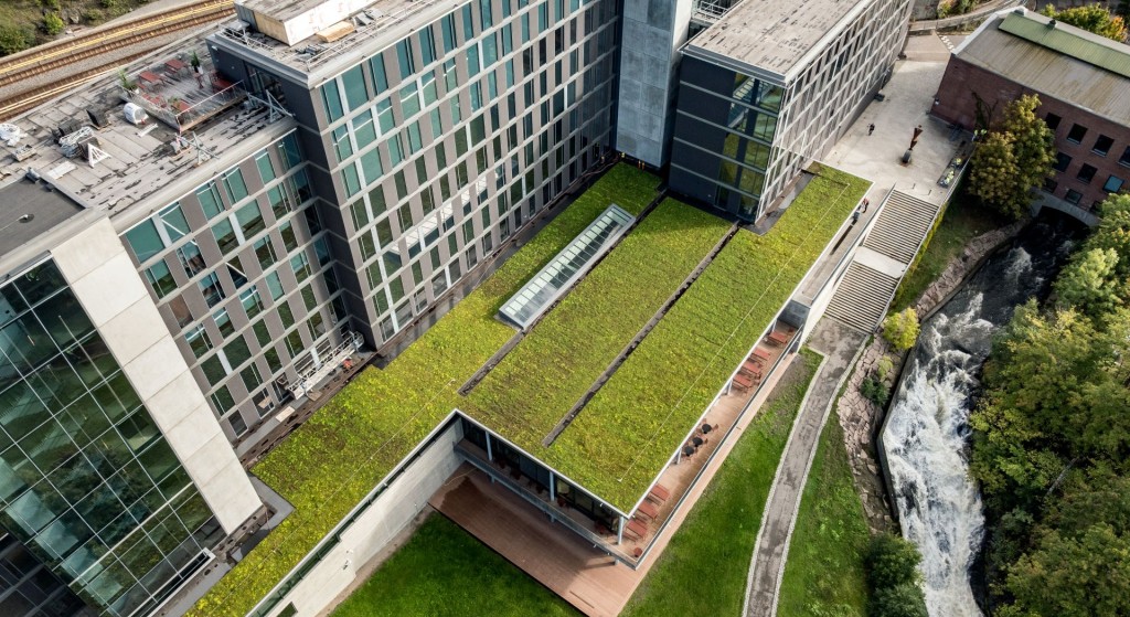 Dronebilde - sedumtak